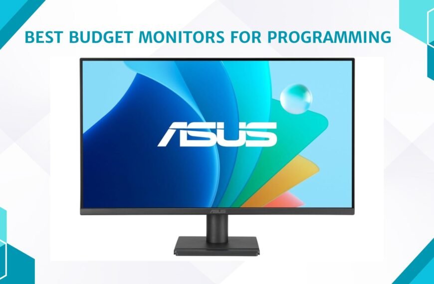 Best Budget Monitors for Programming